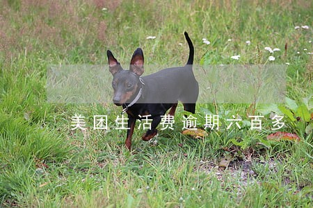 美团生活费逾期六百多 美团生活费逾期六百多