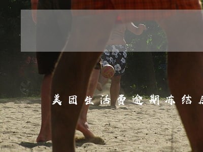 美团生活费逾期冻结房产 美团生活费逾期冻结房产