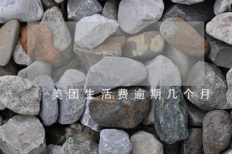 美团生活费逾期几个月 美团生活费逾期几个月