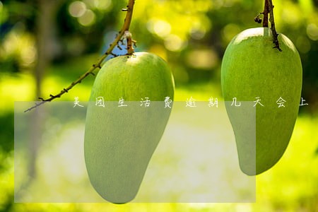 美团生活费逾期几天会上征信 美团生活费逾期几天会上征信