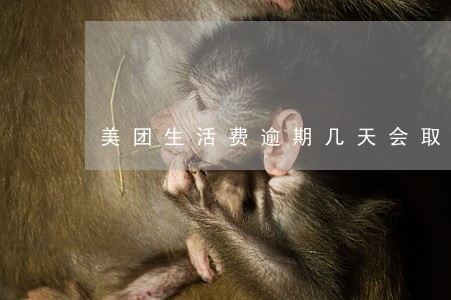 美团生活费逾期几天会取消分期 美团生活费逾期几天会取消分期