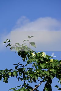 美团生活费逾期几天会打电话 美团生活费逾期几天会打电话