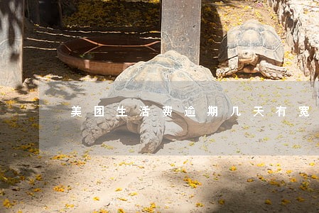 美团生活费逾期几天有宽限期 美团生活费逾期几天有宽限期