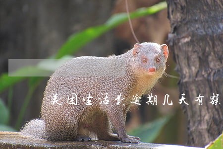 美团生活费逾期几天有额度不能借 美团生活费逾期几天有额度不能借