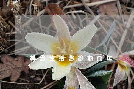 美团生活费逾期几年 美团生活费逾期几年
