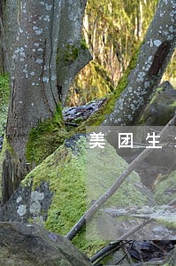 美团生活费逾期利息高用不用还 美团生活费逾期利息高用不用还