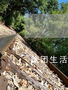 美团生活费逾期十几天 美团生活费逾期十几天