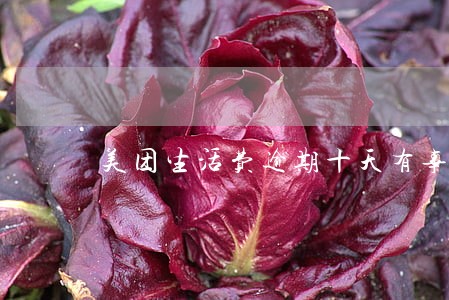 美团生活费逾期十天有事吗 美团生活费逾期十天有事吗