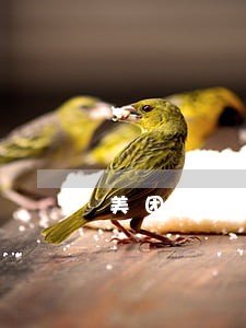 美团生活费逾期半年坐牢 美团生活费逾期半年坐牢