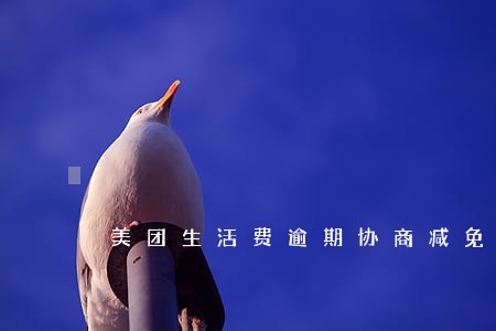 美团生活费逾期协商减免 美团生活费逾期协商减免