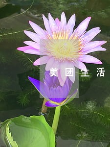 美团生活费逾期发信息说立案 美团生活费逾期发信息说立案