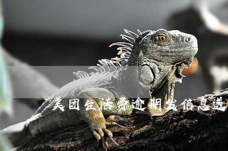 美团生活费逾期发信息送法律信件 美团生活费逾期发信息送法律信件