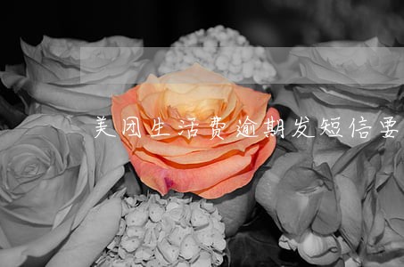 美团生活费逾期发短信要求转账
