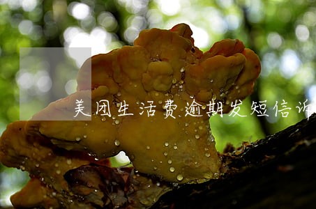 美团生活费逾期发短信诉前审查 美团生活费逾期发短信诉前审查
