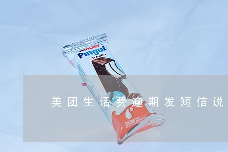美团生活费逾期发短信说严重 美团生活费逾期发短信说严重