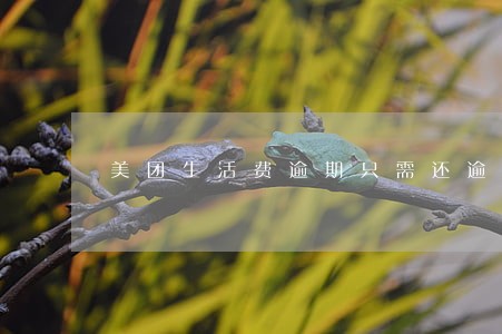 美团生活费逾期只需还逾期的吗
