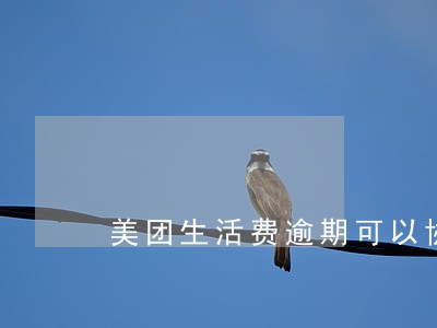 美团生活费逾期可以协商分期吗 美团生活费逾期可以协商分期吗