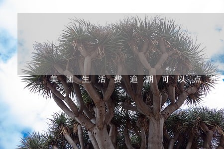 美团生活费逾期可以点外卖吗 美团生活费逾期可以点外卖吗