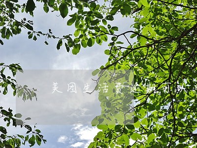 美团生活费逾期可以申请免息吗 美团生活费逾期可以申请免息吗