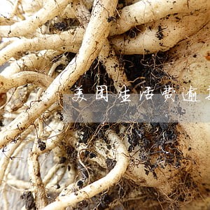 美团生活费逾期后不能使用了吗 美团生活费逾期后不能使用了吗