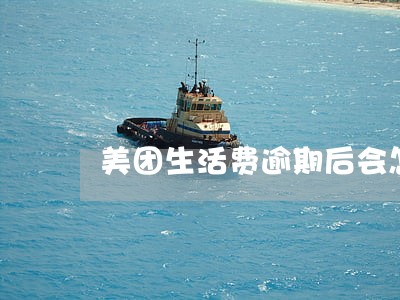 美团生活费逾期后会怎么样 美团生活费逾期后会怎么样