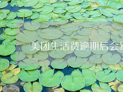 美团生活费逾期后会暴通讯录吗 美团生活费逾期后会暴通讯录吗