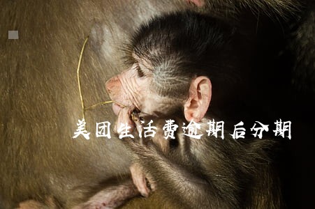 美团生活费逾期后分期 美团生活费逾期后分期
