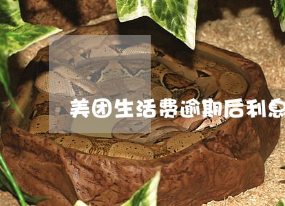 美团生活费逾期后利息怎么算 美团生活费逾期后利息怎么算