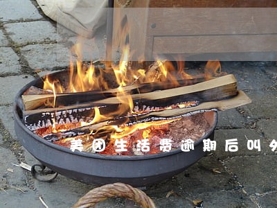 美团生活费逾期后叫外卖怕不怕 美团生活费逾期后叫外卖怕不怕