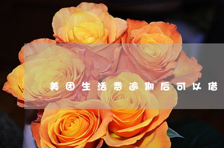 美团生活费逾期后可以借吗 美团生活费逾期后可以借吗