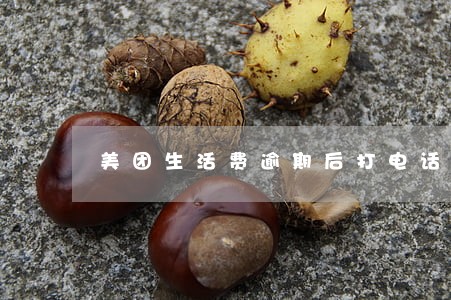美团生活费逾期后打电话给村委会