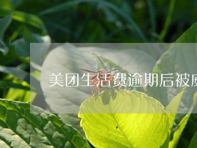 美团生活费逾期后被威胁 美团生活费逾期后被威胁
