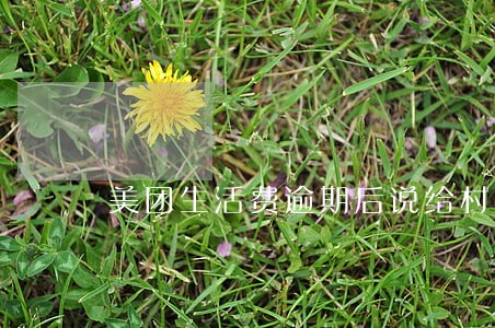 美团生活费逾期后说给村委会联系 美团生活费逾期后说给村委会联系