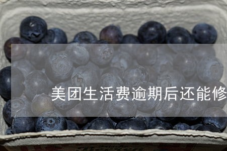 美团生活费逾期后还能修复吗 美团生活费逾期后还能修复吗