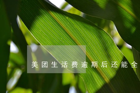 美团生活费逾期后还能全额还款吗 美团生活费逾期后还能全额还款吗