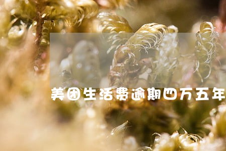 美团生活费逾期四万五年后会怎样 美团生活费逾期四万五年后会怎样