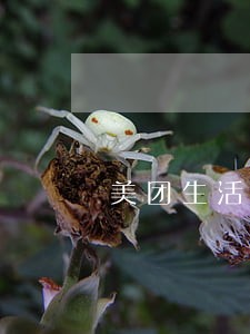 美团生活费逾期四天说要备案 美团生活费逾期四天说要备案