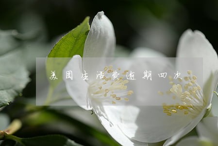 美团生活费逾期四次 美团生活费逾期四次