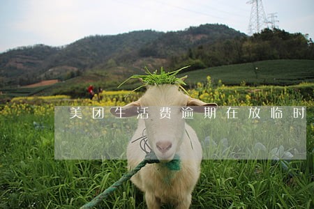 美团生活费逾期在放临时额度真假 美团生活费逾期在放临时额度真假