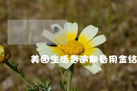 美团生活费逾期备用金给我封了 美团生活费逾期备用金给我封了