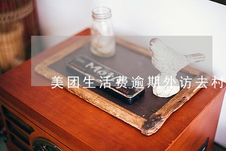 美团生活费逾期外访去村委会