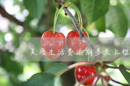 美团生活费逾期多久上征信吗 美团生活费逾期多久上征信吗