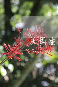 美团生活费逾期多久了 美团生活费逾期多久了