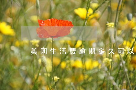美团生活费逾期多久可以打电话 美团生活费逾期多久可以打电话