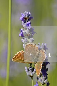 美团生活费逾期多久家访 美团生活费逾期多久家访
