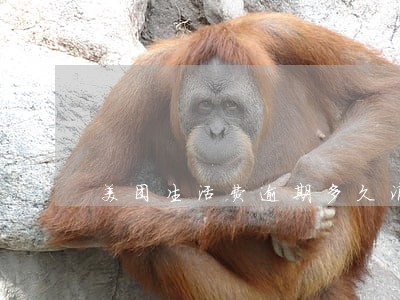 美团生活费逾期多久消除 美团生活费逾期多久消除