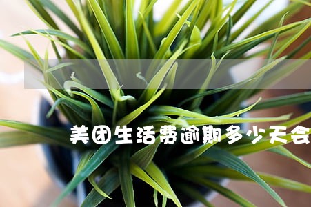 美团生活费逾期多少天会打电话 美团生活费逾期多少天会打电话