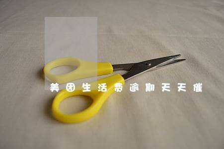 美团生活费逾期天天催 美团生活费逾期天天催