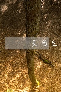 美团生活费逾期如何协商延长分期 美团生活费逾期如何协商延长分期