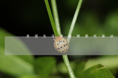 美团生活费逾期委托家访 美团生活费逾期委托家访